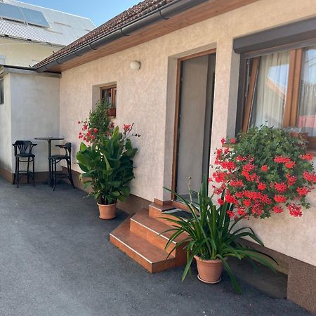 Apartman Anna Villa Ogulin Bagian luar foto