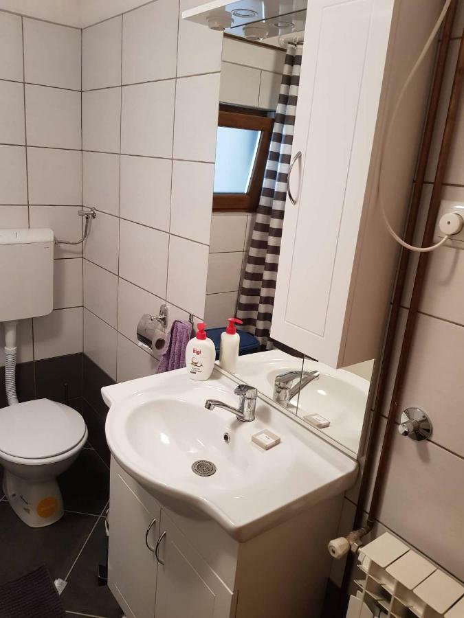 Apartman Anna Villa Ogulin Bagian luar foto